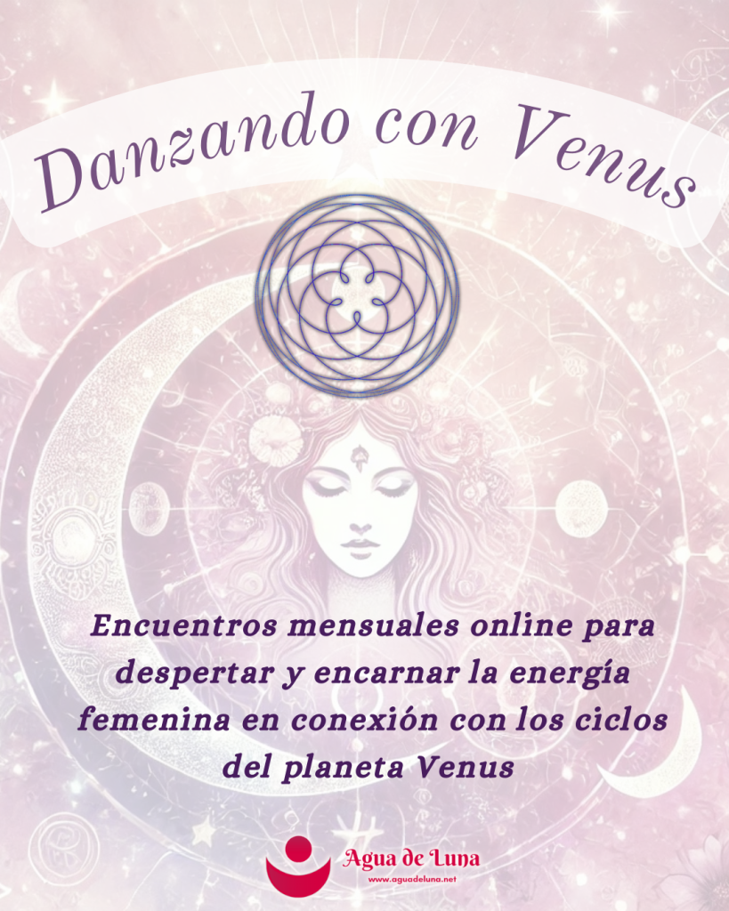 nuevos posts instagram