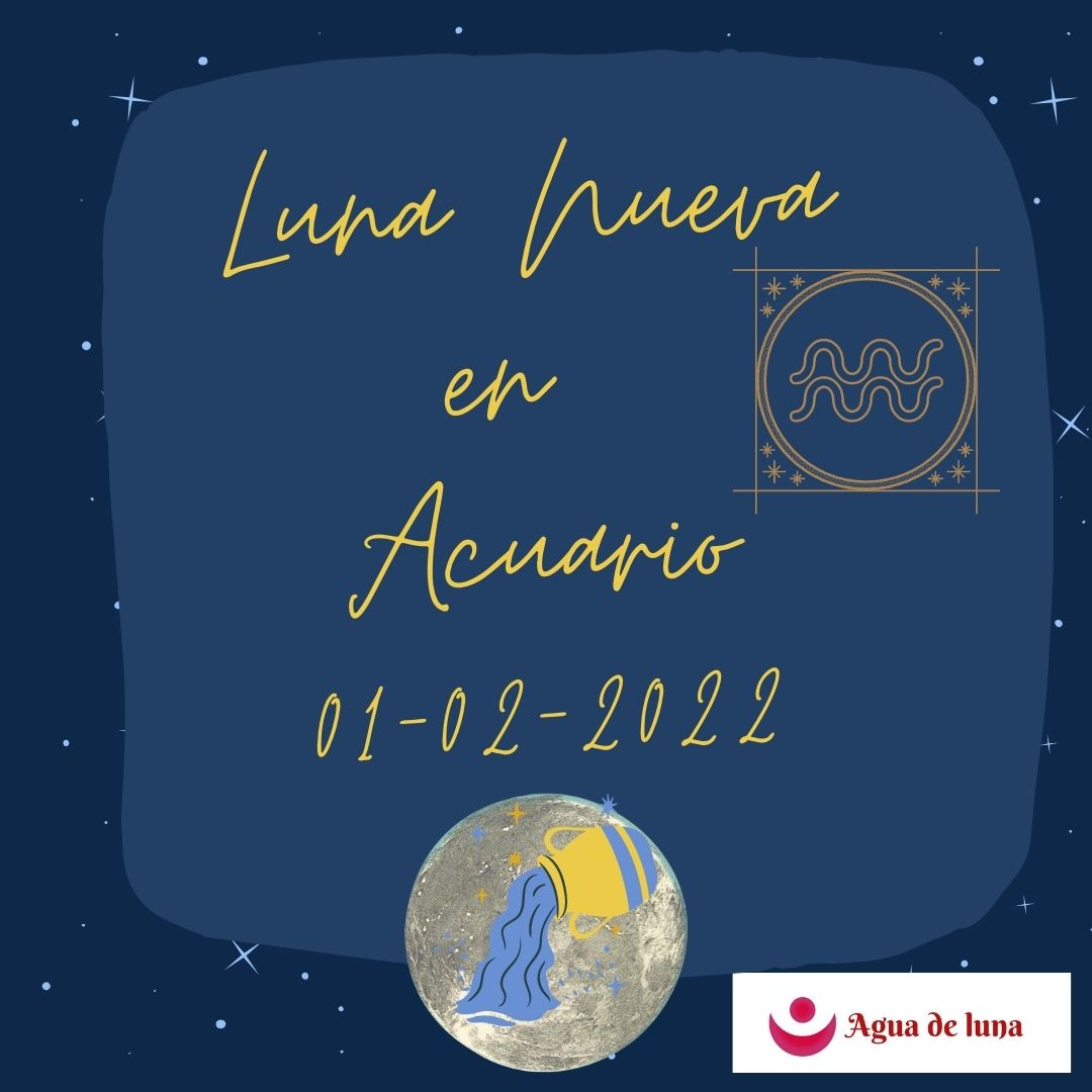 Luna Nueva en Acuario 01-02-2022